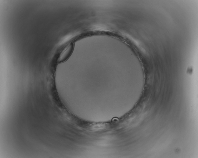 X0000103141303200809191955