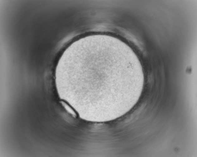 X0000103141304200809191955