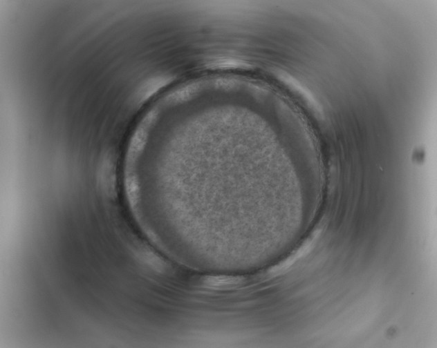 X0000103141305200809191955