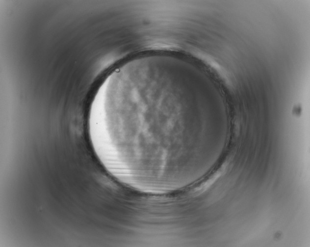 X0000103141306200809191955