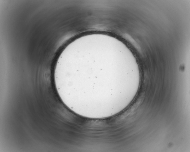 X0000103141307200809191955