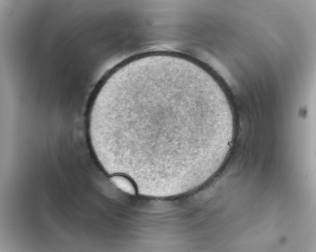 X0000103141308200809191955