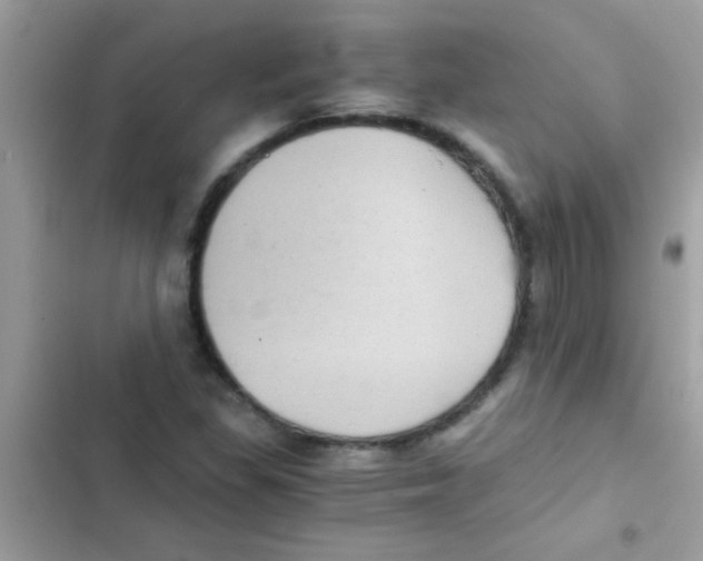 X0000103141309200809191955