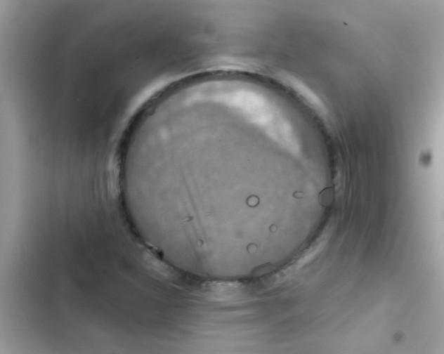 X0000103141310200809191955