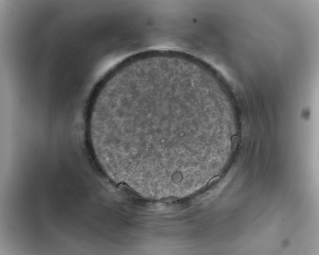 X0000103141311200809191955