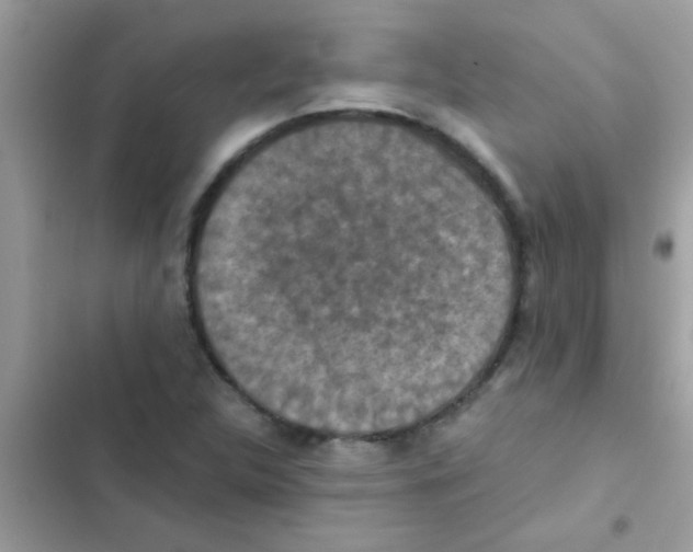 X0000103141312200809191955