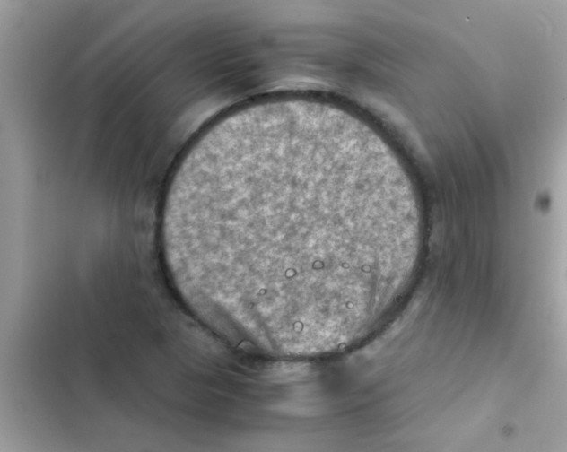 X0000103141313200809191955