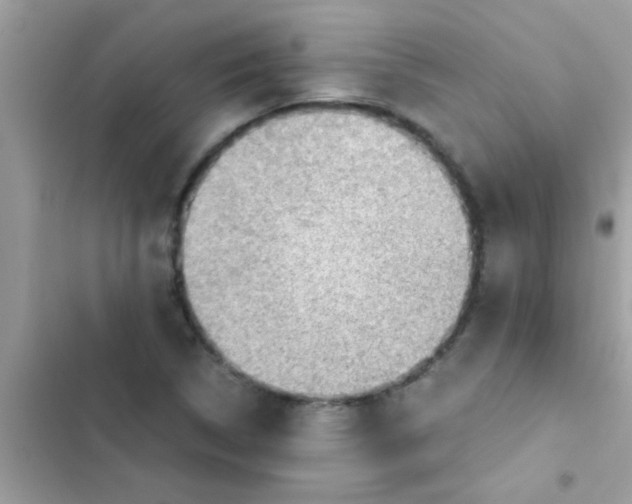 X0000103141314200809191955