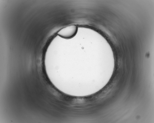 X0000103141315200809191955