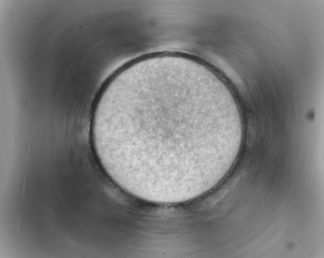 X0000103141316200809191955