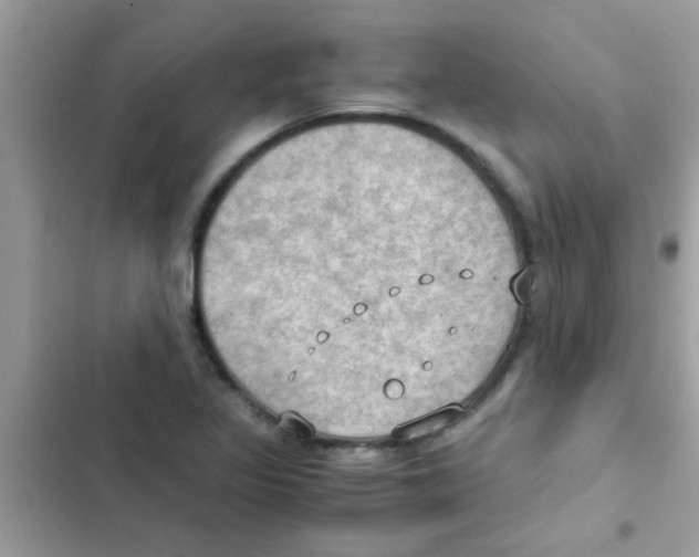 X0000103141317200809191955