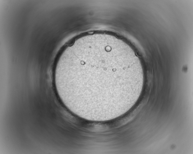 X0000103141318200809191955