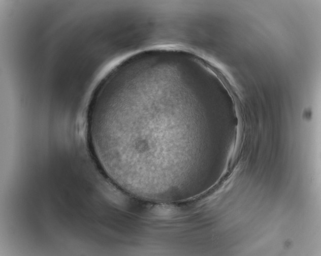 X0000103141319200809191955