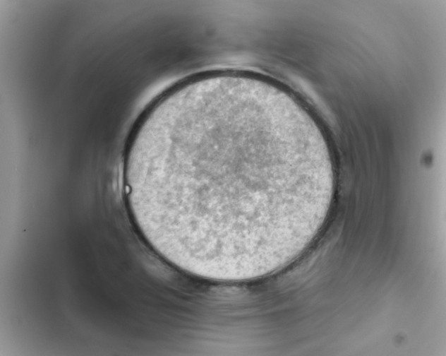 X0000103141320200809191955