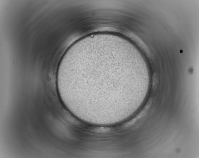 X0000103141321200809191955