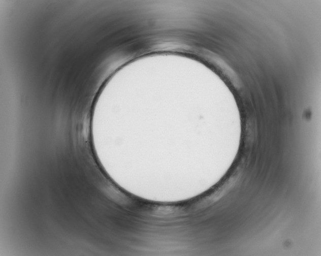 X0000103141322200809191955