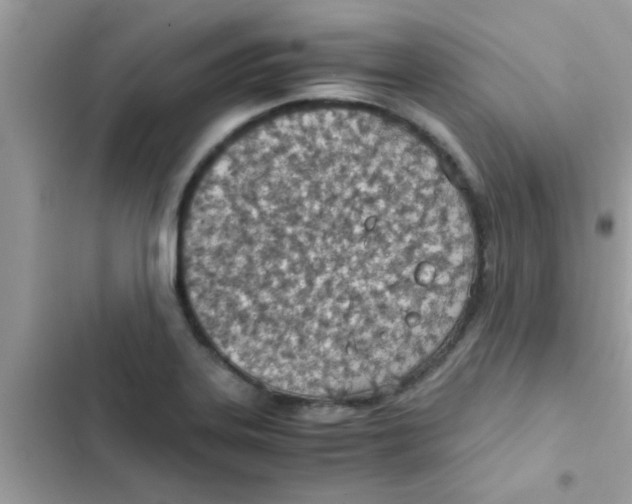 X0000103141323200809191955