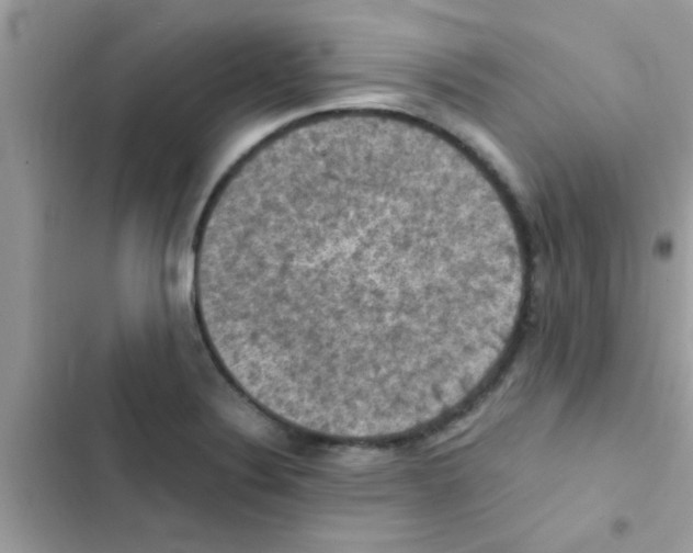 X0000103141324200809191955