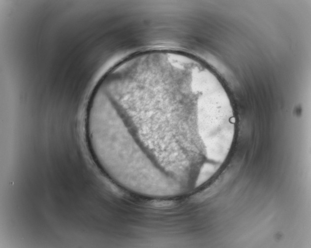 X0000103141325200809191955