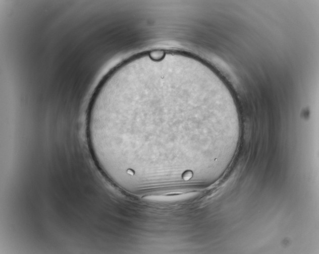 X0000103141326200809191955