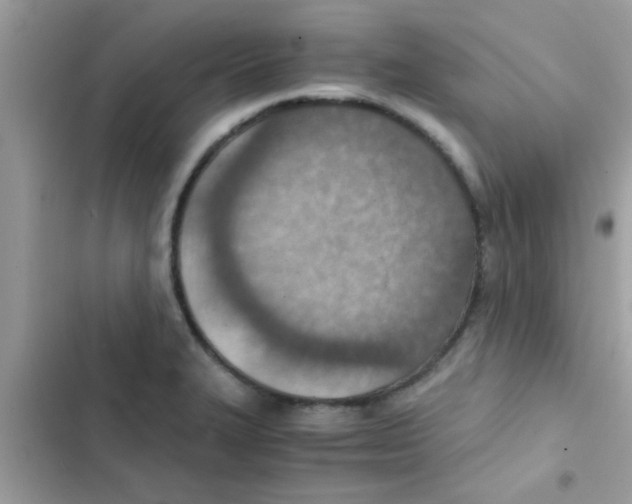 X0000103141327200809191955