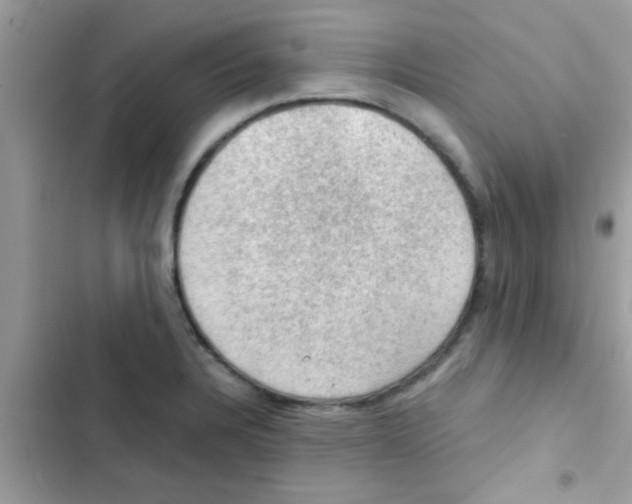 X0000103141328200809191955