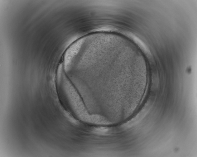 X0000103141329200809191955