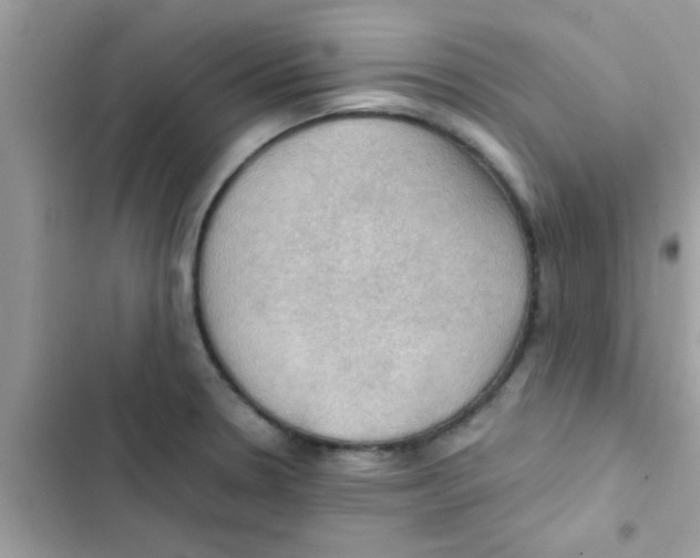 X0000103141330200809191955