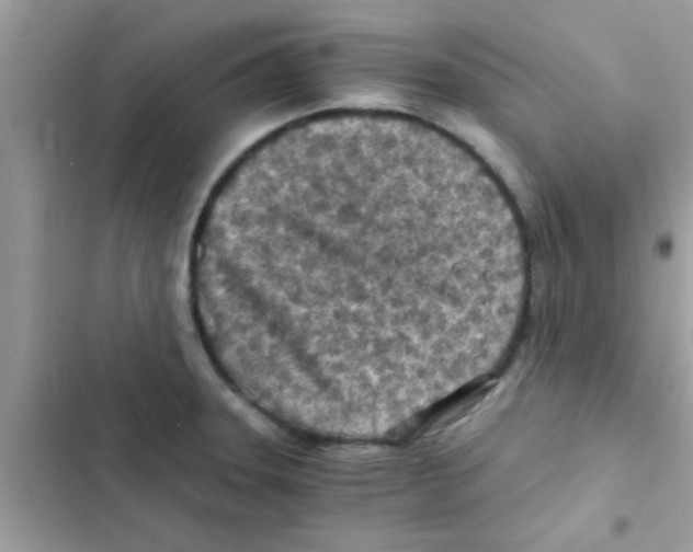 X0000103141331200809191955