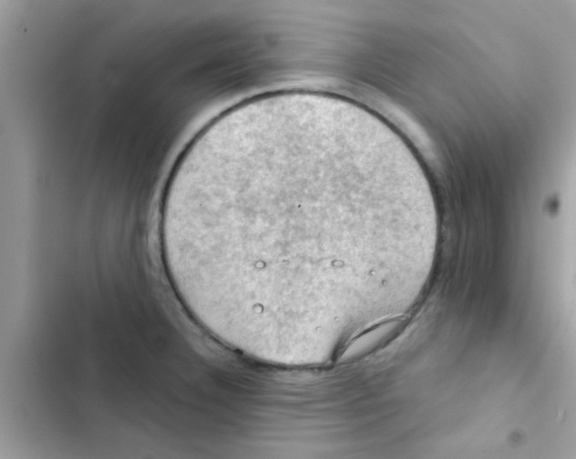 X0000103141332200809191955