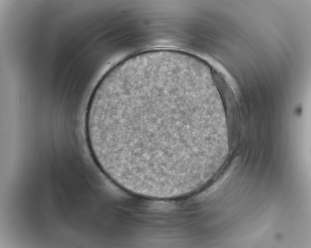 X0000103141333200809191955