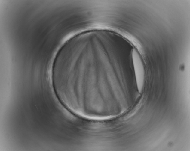 X0000103141334200809191955