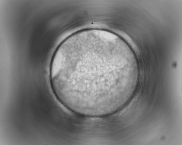 X0000103141335200809191955