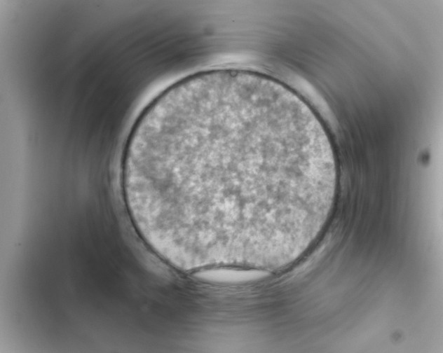 X0000103141336200809191955