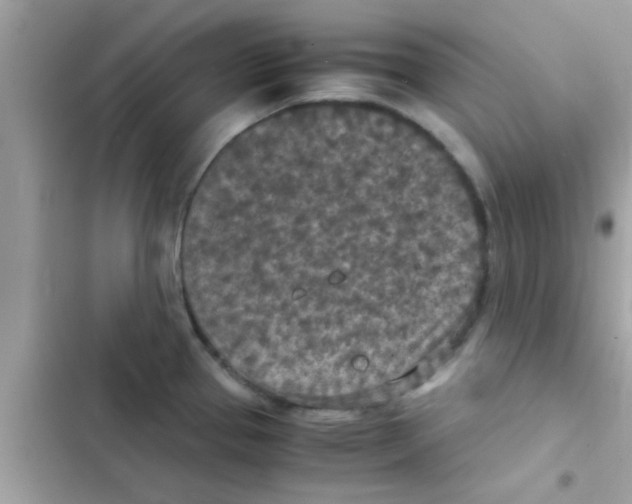 X0000103141337200809191955