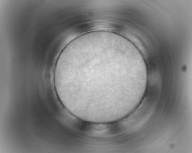 X0000103141338200809191955