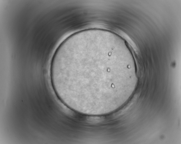 X0000103141339200809191955