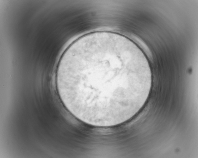 X0000103141340200809191956