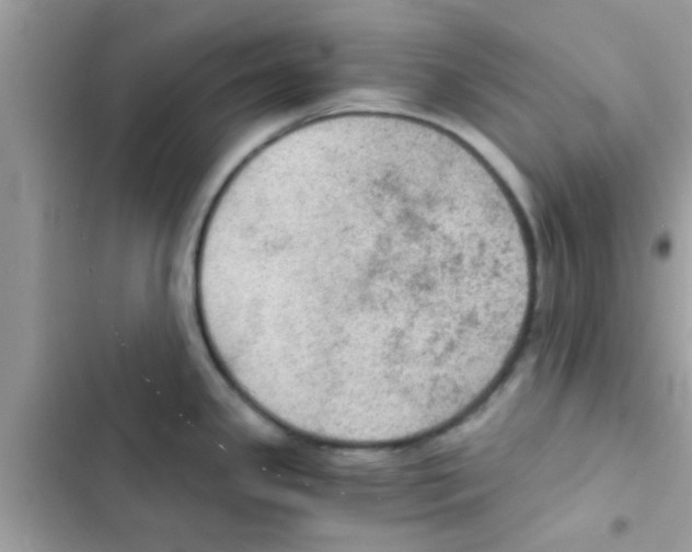 X0000103141341200809191956