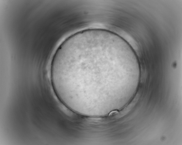 X0000103141342200809191956