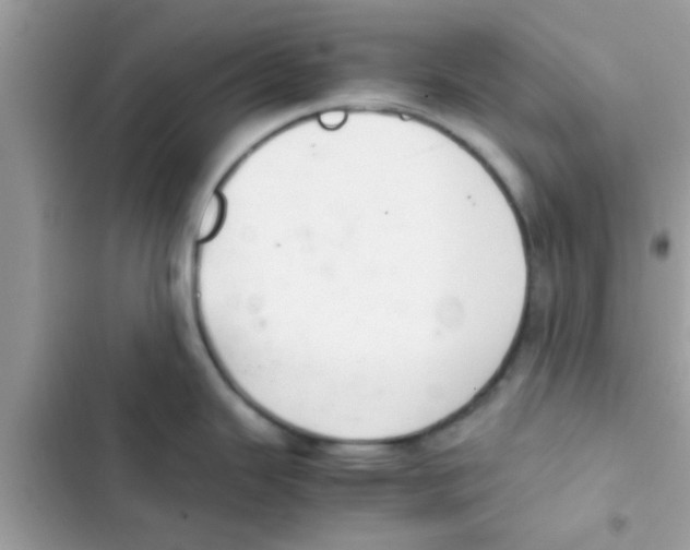 X0000103141343200809191956