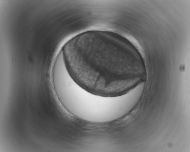 X0000103141344200809191956