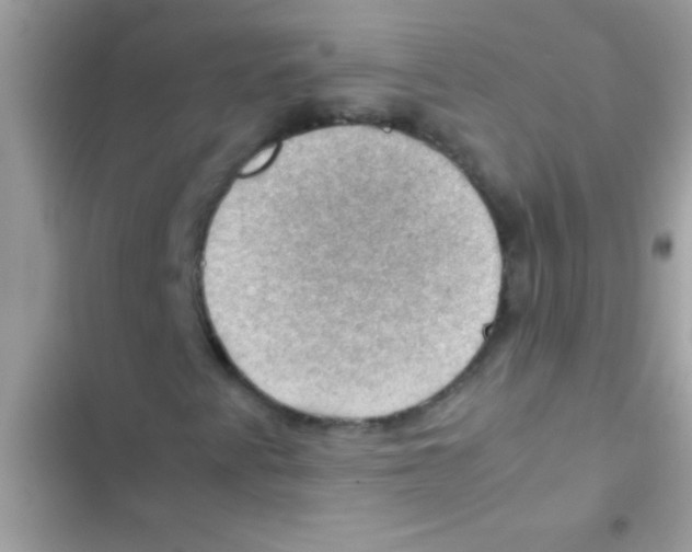 X0000103141345200809191955