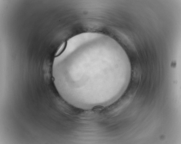 X0000103141346200809191955