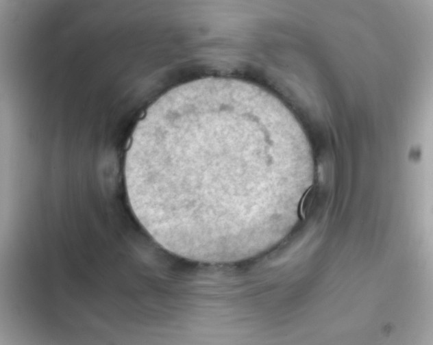 X0000103141347200809191955