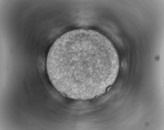 X0000103141348200809191955