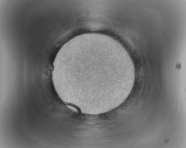 X0000103141349200809191955