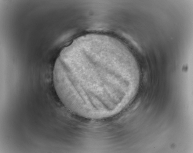 X0000103141350200809191955