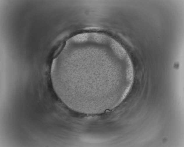 X0000103141351200809191955