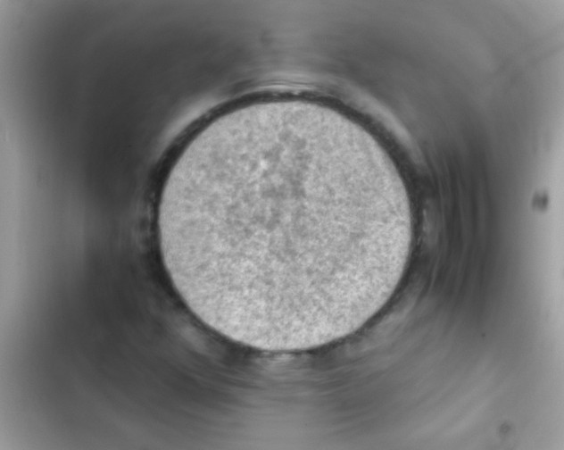 X0000103141352200809191955